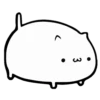 WHITE KITTEN 17