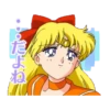 Pretty Guardian Sailor Moon (Animated) 20