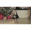 Gatitos Navideños 6