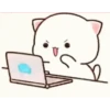 Peach cat 23