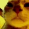 XD Emojis #1 23
