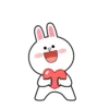 Brown and Cony 22