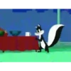 Pepe Le Pew⛧1🇪🇸Movi 24