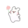 Yumyum RAbbit 14