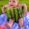 Kid Pack 2.0 pack 25
