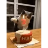 VideoCats 17