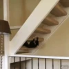 VideoCats 19
