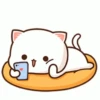 Peach cat 27