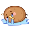 Little Brown Chick 💖 MOV 20