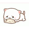 Peach cat 28