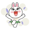 Brown and Cony 3 17