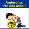 CHIVAS 25