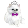 Gatitos💞1🇵🇪Clásica 27