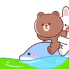 Brown and Cony 2 19