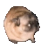 XD Emojis #1 26