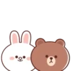 Brown and Cony 2 20