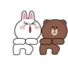 Brown and Cony 3 23