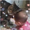 Niños 4 mov 30