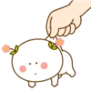二花的春天 23