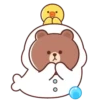 Brown and Cony 2 23