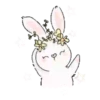 Rabbit🐇⛧1🇪🇸Movi 29