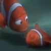 Finding Nemo 6