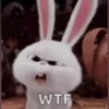 Cutu rabbit 🐇🐰 ❤ @r_squared_rishabh — @stckrRobot 5