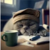 🧿Gatos Gatitos🐱🐈 6
