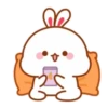Tuji 🐰3🐰 Mov 5