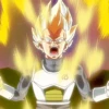Vegeta 6