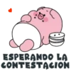 ESPERANDO A CONTESTACION