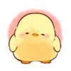 Soft and Cute Chicks Animation 3 7