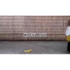 MonkeyPon 8