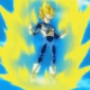 Vegeta 8