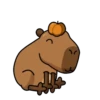 Código carpincho 6