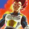 Vegeta 9
