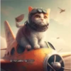 🧿Gatos Gatitos🐱🐈 7
