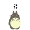 fútbol 9