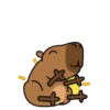 Código carpincho 8