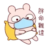 冷兔寶寶防疫動態 6