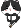 🖤😻Baby Tuxe do Cat😻🖤.MOV 6