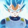 Vegeta 11
