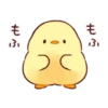 Soft and Cute Chicks Animation 3 11