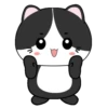 🖤😻Baby Tuxe do Cat😻🖤.MOV 8