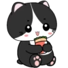 🖤😻Baby Tuxe do Cat😻🖤.MOV 9