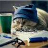 🧿Gatos Gatitos🐱🐈 8