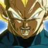 Vegeta 14