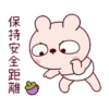冷兔寶寶防疫動態 7