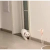 Cute kitty 🐱 ❤💕 11