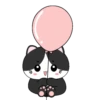 🖤😻Baby Tuxe do Cat😻🖤.MOV 10